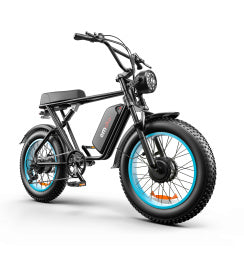 C91-20 Inch Dual-drive High-speed Electric Bike